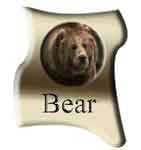 ZAN: «Медведь»